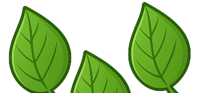 3 leaves