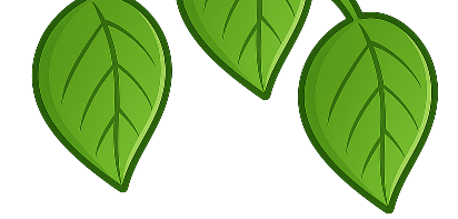 3 leaves